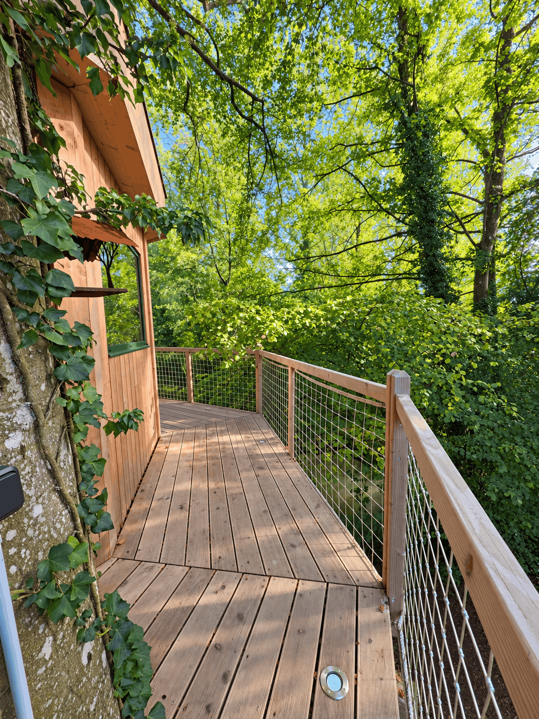 Promenade dans un environnement naturel
