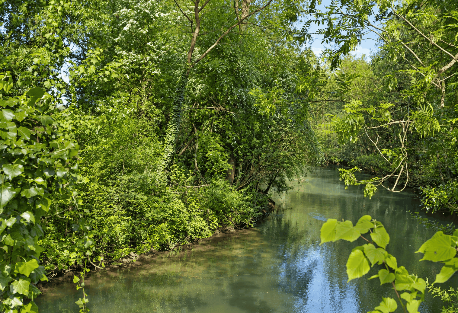 Paysage naturel et étang au Domaine de Wail